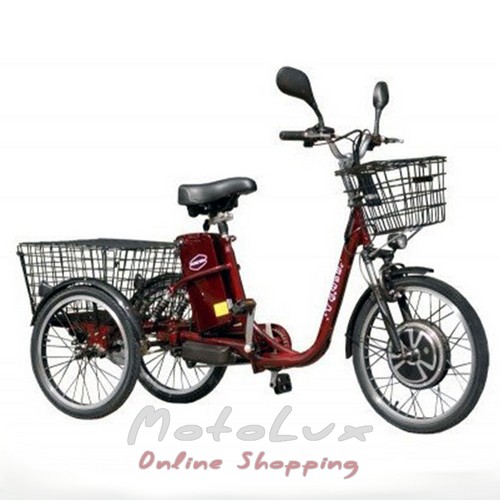 Electric bicycle Skybike 3-CYCL, 26 wheel