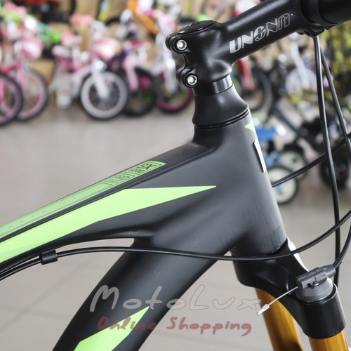 Mountain bike Spelli SX-6200 Pro, wheel 29, frame 19, 2020, black n green