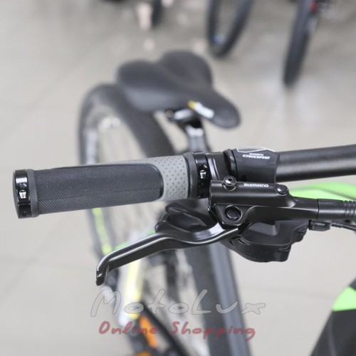 Mountain bike Spelli SX-6200 Pro, wheel 29, frame 19, 2020, black n green