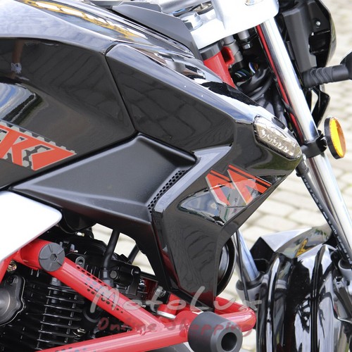 Мотоцикл Raptor Senke Desert Sk250-5 black n red