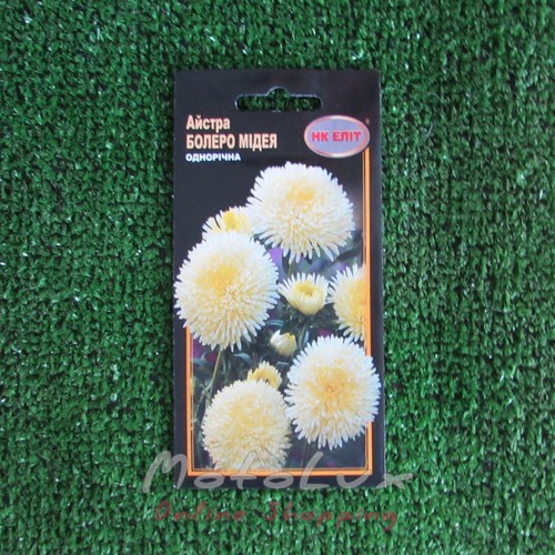Seeds Flowers Astra Borel Midea 0.3g