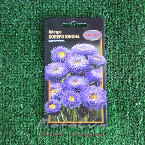 Semená Kvety Aster Bolero Junona 0,3 g