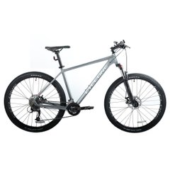 Cyclone AX mountain bike, wheel 29, frame 20, gray, 2022