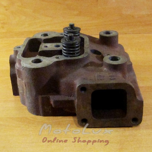 Cylinder head for engine R195B assembly