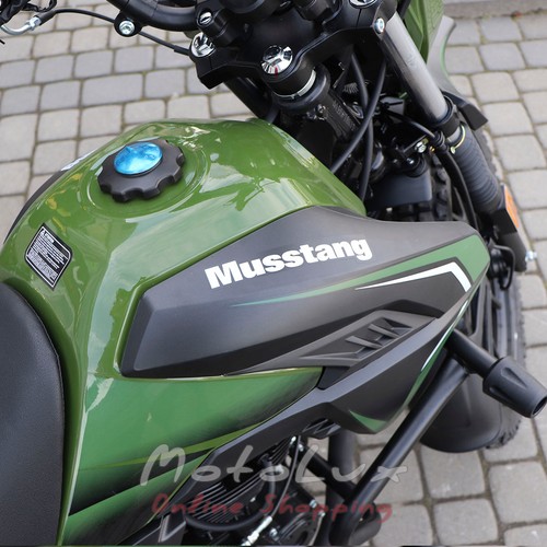 Мотоцикл Musstang MT250GY-8, Grader 250, зеленый