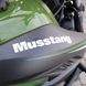 Мотоцикл Musstang MT250GY-8, Grader 250, зеленый