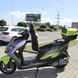 Electric Power TDWG65Z/T3 electric scooter, 1500W, green