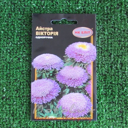 Semená Kvety Aster Victoria 0,3 g