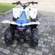 ATV Exdrive Pentora 110cc 1+1