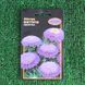 Seeds Flowers Astra Victoria 0.3g