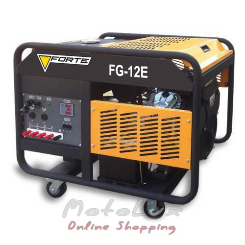 Petrol Power Generator Forte FG12E
