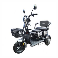 FORTE FAMILY electric scooter, 500W, 60V