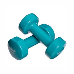 Dumbbells for fitness with a vinyl coating Zelart Beauty ТА 5225, 3 kg