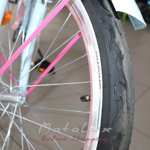 Cestný bicykel Neuzer Miami, kolesá 26, rám 17, Shimano Nexus, svetlomodrá ružová