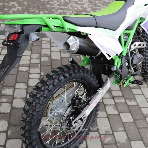 Мотоцикл Skybike TRX200 CRDX-200 19/16, салатовый