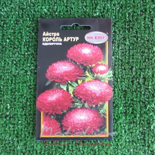 Semená Kvetov Aster King Arthur 0,3 g