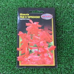 Semená Kvety Šalvia Lady v červenom 0,3 g