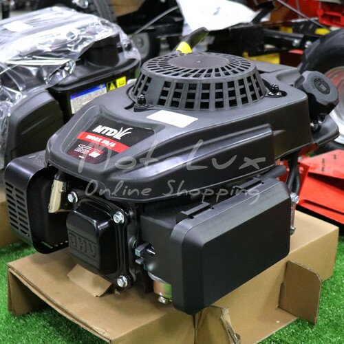 Двигатель MTD ThorX 50/6, 6 л.с.