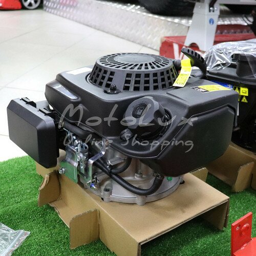 Двигатель MTD ThorX 50/6, 6 л.с.
