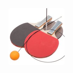 Zelart table tennis coordination and training set