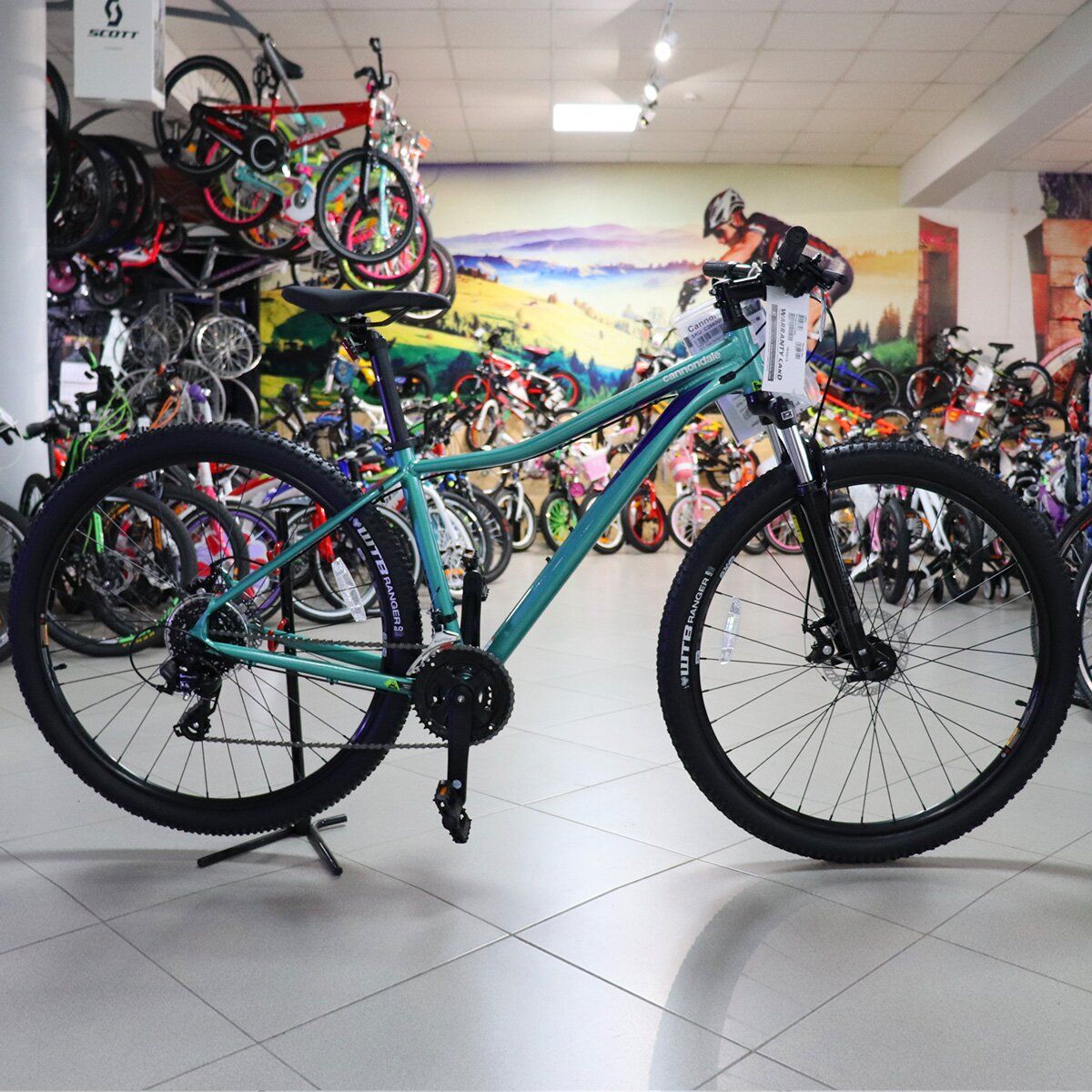 Rusteloos Verzamelen een miljard Mountain bike Cannondale Tango 6, wheels 29, frame S, 2020, turqoise buy  for 310€ in Ukraine — Sale Mountain bicycles, cheap delivery to Ukraine,  Slovakia, Hungary, article SKD-98-89 — MotoLux online store