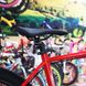 Горный велосипед Cannondale Trail 5, колесо 29, рама XL, 2021, red