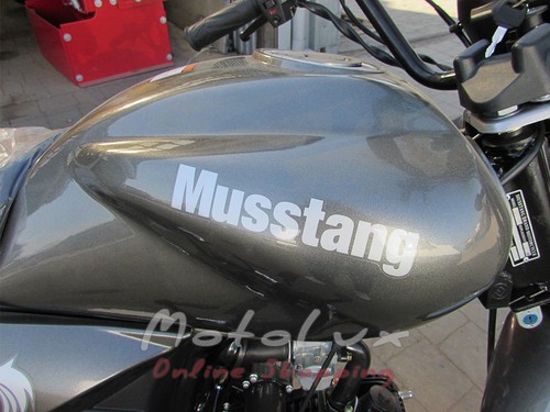 Kis motor Musstang Dingo 125 szürke