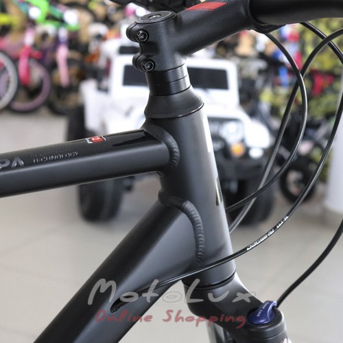 Велосипед Cube Nature Pro, колеса 28, рама L, 2019, black n red