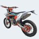 Motorcycle Geon Dakar GNX 250, Multicolored