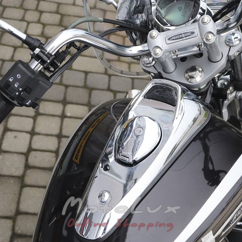 Motocykel Bajaj Avenger Cruise 220, Cierny