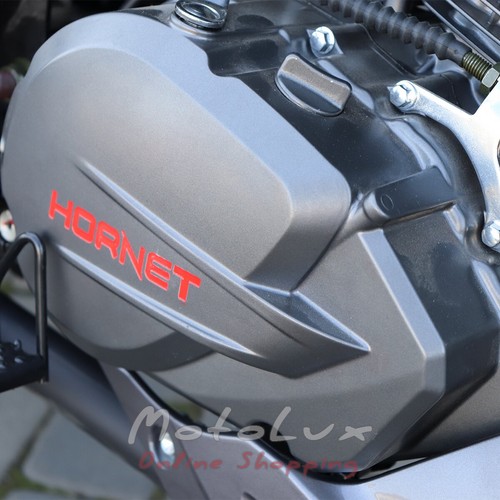 Motorkerékpár Hornet GT200