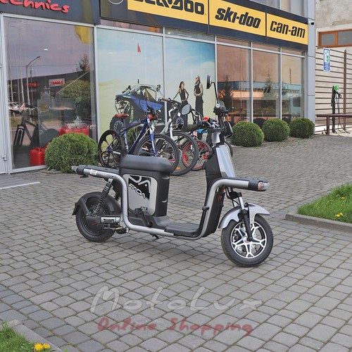 Two-wheel electric bicycle Fada Flit II Cargo, 500W, silver