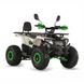 Electric ATV Exdrive Hunter EATV, 1500W, 60V, black with green
