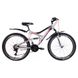 Велосипед Discovery 26 Canyon AM2 DD, рама 17.5, 2021, silver black with red