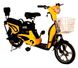 Robbanómotoros kerékpár Skybike Elf 1