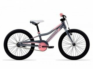 Дитячий велосипед Cannondale Trail CB Girls, колеса 20, рама 20, grey